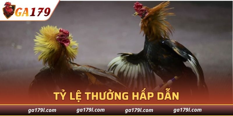 Tỷ lệ thưởng hấp dẫn
