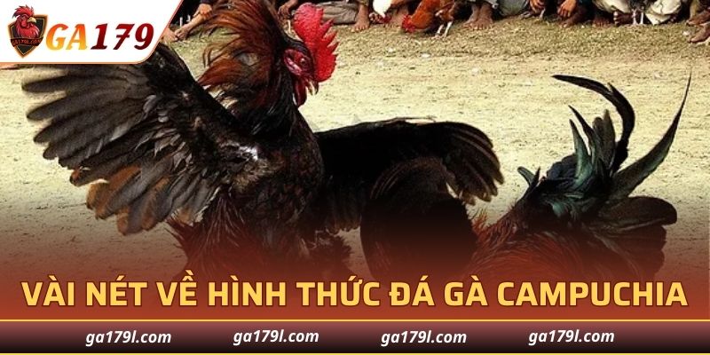 Vài nét về hình thức đá gà Campuchia