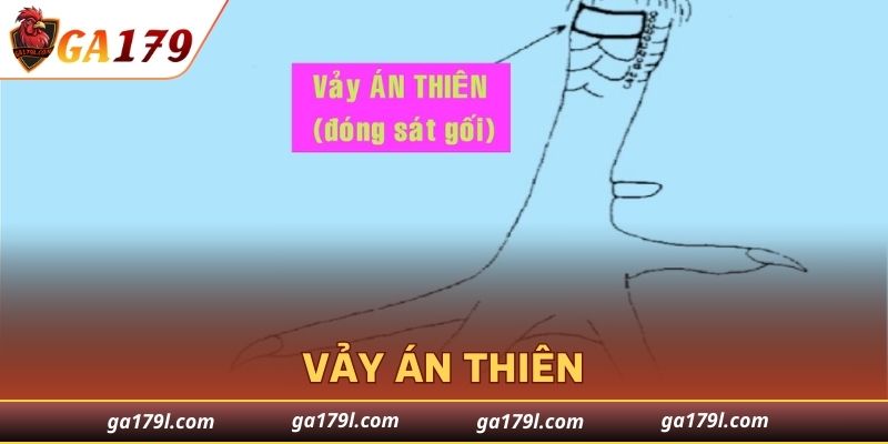 Vảy Án Thiên
