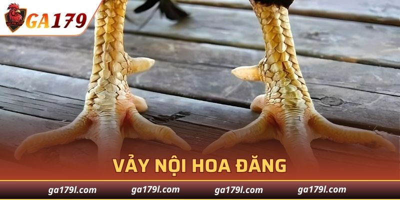 Vảy Nội Hoa Đăng