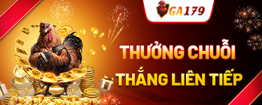 Banner Khuyến Mãi GA179