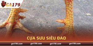 Cựa Sưu Siêu Đao