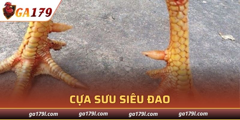 Cựa Sưu Siêu Đao