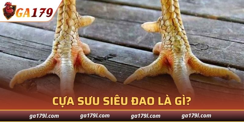 Những điều cơ bản về CSSD mới nhất